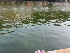 -DGE季风钓虾营地·团建·聚会