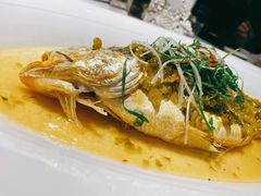 雪菜笋丝蒸大黄鱼-麟1929(外滩店)