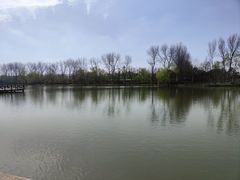 -溱湖国家湿地公园