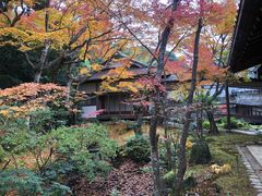 -常寂光寺
