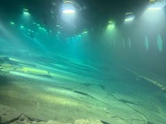 -白鹤梁水下博物馆