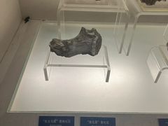 -旅顺博物馆