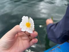 -丽江泸沽湖景区