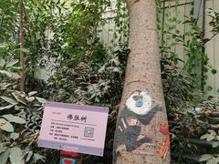 -呀路古热带植物园