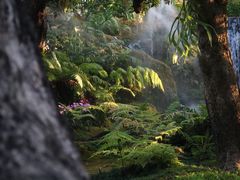 -Chom Cafe and Restaurant