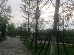 -西海子公园