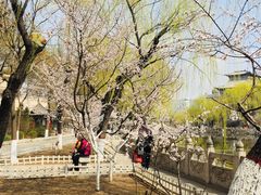 -文瀛公园