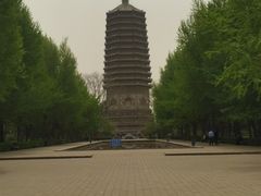 -玲珑塔公园