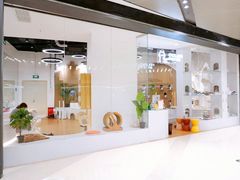 -COLOR PETS 撸猫馆·购猫·猫咖(长风大悦城店)