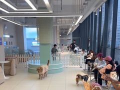 -怪兽屋·羊驼·猫咖·狗咖(俊华广场店)
