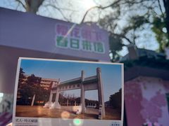 -武汉大学-樱园
