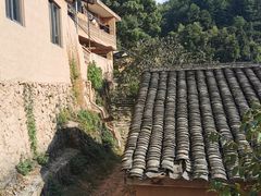 -杨家堂村