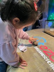 -酷嗒动物文化乐园(cutezoo西溪乐天城店)