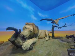 -国家自然博物馆