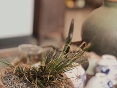 -亮河湾山庄