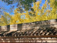 -北京国子监胡同