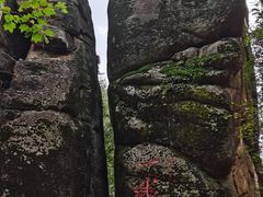 -汤旺河林海奇石景区