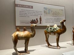 -深圳博物馆(古代艺术馆)
