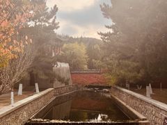 -石岛赤山风景区