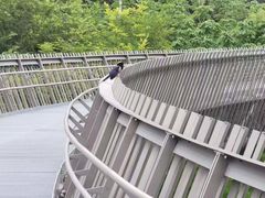 -福道
