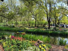 -上海共青森林公园