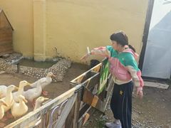 -HERRE·FARM 赫尔露营农场·团建聚会包场