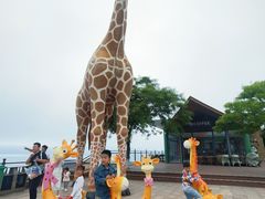 -西霞口神雕山野生动物世界