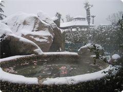 室外温泉-金孔雀温泉旅游度假村