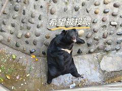 -攀枝花公园