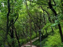 -万达影城(太仓IMAX激光店)