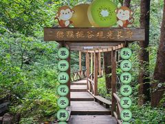 -大岭沟猕猴桃谷风景区