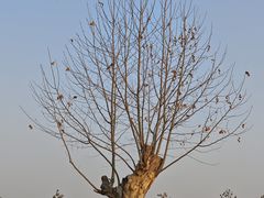 -汉长安城未央宫国家考古遗址公园