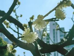 -静安雕塑公园