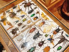 -恋物百货商店(华侨城店)