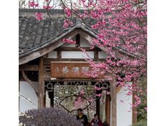 -杭州植物园