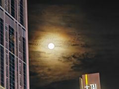 -韩山葵烤肉(太古里店)