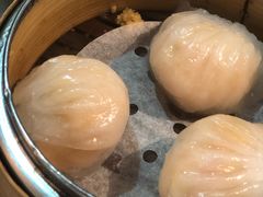 -糖朝(尖沙咀店)