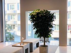 -ARKET CAFÉ(三里屯太古里店)
