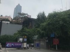 -树厨贵州菜(大十字店)