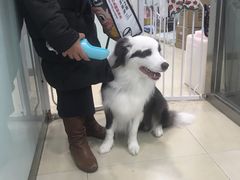 -宠福鑫康馨动物医院·骨科·眼科