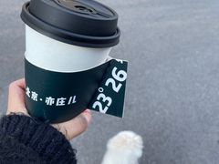 -2326 Coffee Roaster咖啡豆可选店(林肯公园店)