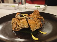 -全聚德(上海首店浦东店)