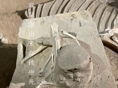 -洛阳周王城天子驾六博物馆