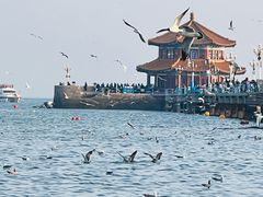 -前海沿·青岛菜(大拇指广场石老人店)