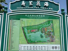 -荷兰花海