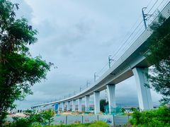 -宝安西湾红树林湿地公园