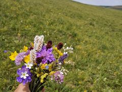 -塞罕坝国家级自然保护区