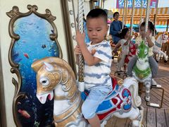 -海合安成都极地海洋公园