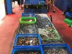 -七鲜渔港美食餐厅(巽寮湾海景店)