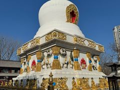 -护国法轮寺
